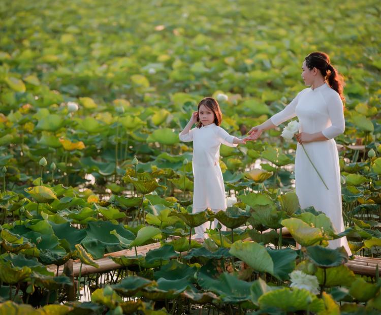 PHIM TRƯỜNG CHIỀU NẮNG
