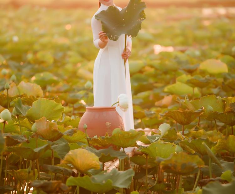 PHIM TRƯỜNG CHIỀU NẮNG
