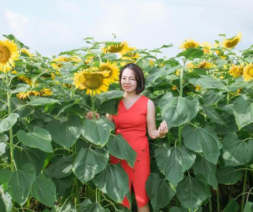 CHỊ EM ÁO DÀI HƯỚNG DƯƠNG